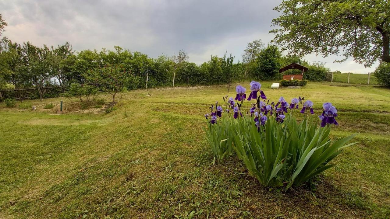 Vadaszles Vendeghaz Daire Bukkszentmarton Dış mekan fotoğraf