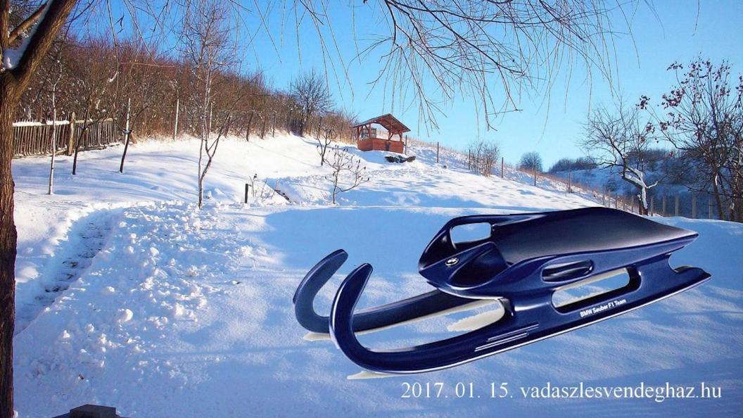 Vadaszles Vendeghaz Bukkszentmarton Dış mekan fotoğraf